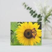 Sunny Summer Postcard Briefkaart (Staand voorkant)