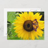 Sunny Summer Postcard Briefkaart (Voorkant / Achterkant)
