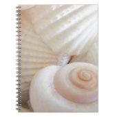 Sunny Summer Seashells Collectie Notitieboek (Voorkant)