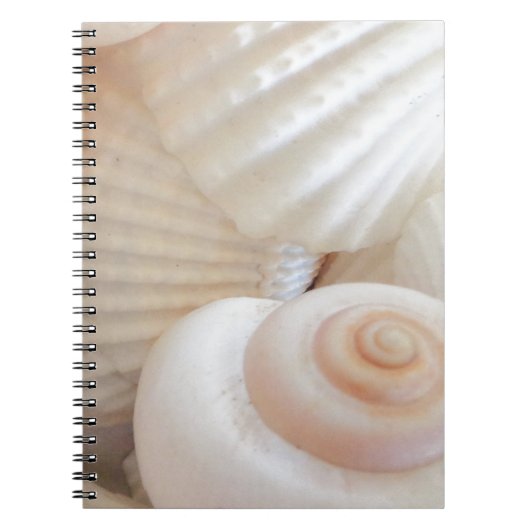 Sunny Summer Seashells Collectie Notitieboek (Voorkant)