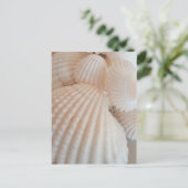 Sunny Summer Seashells. Romantisch, exotisch tropi Briefkaart (Staand voorkant)