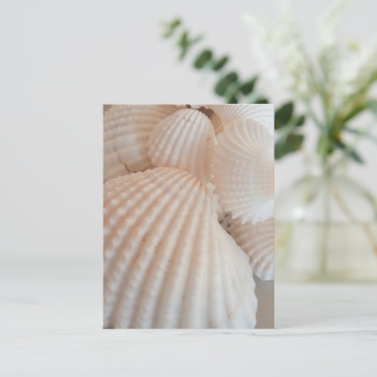 Sunny Summer Seashells. Romantisch, exotisch tropi Briefkaart (Staand voorkant)