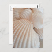 Sunny Summer Seashells. Romantisch, exotisch tropi Briefkaart (Voorkant / Achterkant)