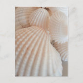 Sunny Summer Seashells. Romantisch, exotisch tropi Briefkaart (Voorkant)