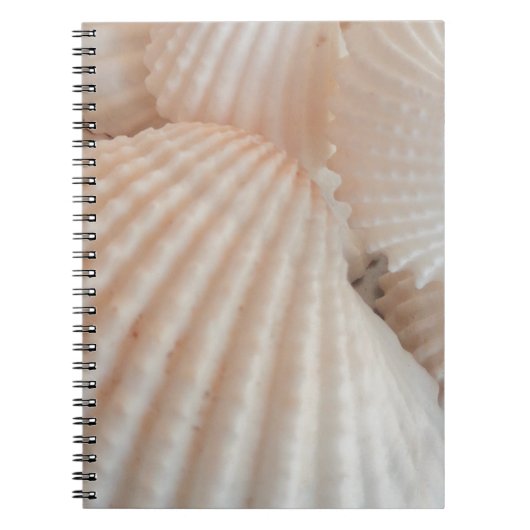 Sunny Summer Seashells. Romantisch, exotisch tropi Notitieboek (Voorkant)