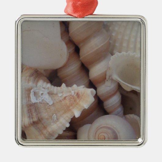 Sunny Summer Seashells, Zee Shell Beach Love Metalen Ornament (Voorkant)
