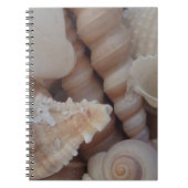 Sunny Summer Seashells, Zee Shell Beach Love Notitieboek (Voorkant)