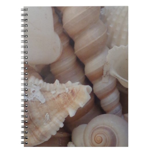 Sunny Summer Seashells, Zee Shell Beach Love Notitieboek (Voorkant)