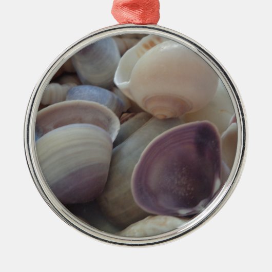 Sunny Summer Seashells, Zee Shell Beach Ocean Metalen Ornament (Voorkant)