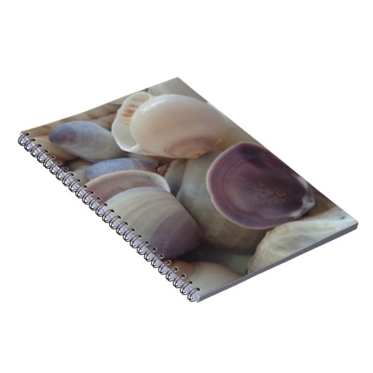 Sunny Summer Seashells, Zee Shell Beach Ocean Notitieboek (Rechterzijde)