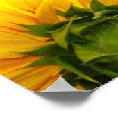 Sunny Sunflower Print (Hoek)