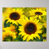 Sunny Sunflower Print (Voorkant)