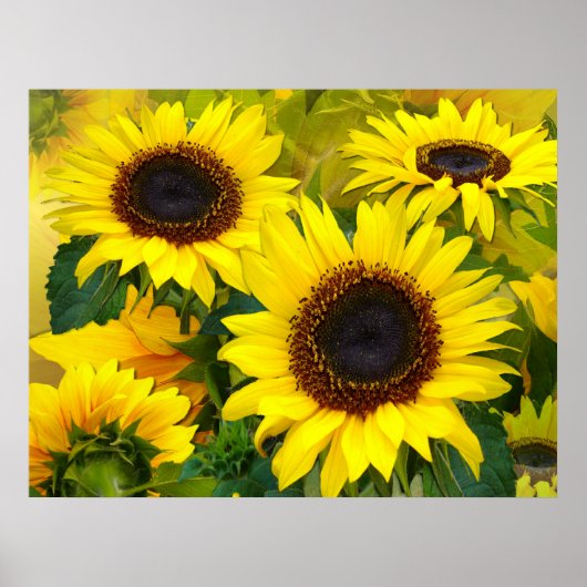Sunny Sunflower Print (Voorkant)