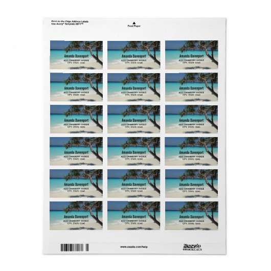 Sunny Tropical Beach Ocean Paradise Label (Full Sheet)