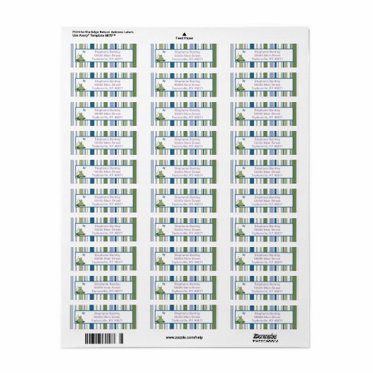 Sunny Turtle Return Address Label (Full Sheet)