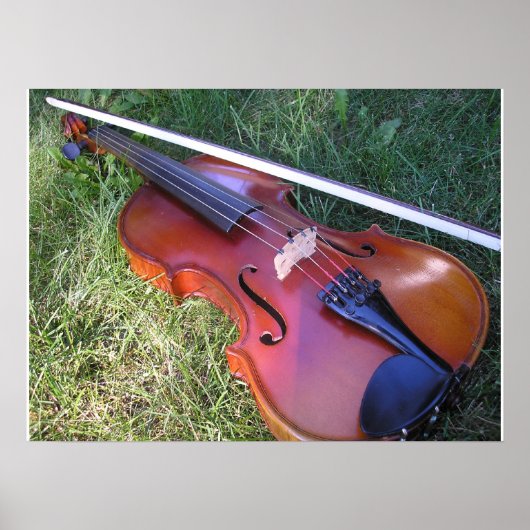 Sunny Violin Poster (Voorkant)