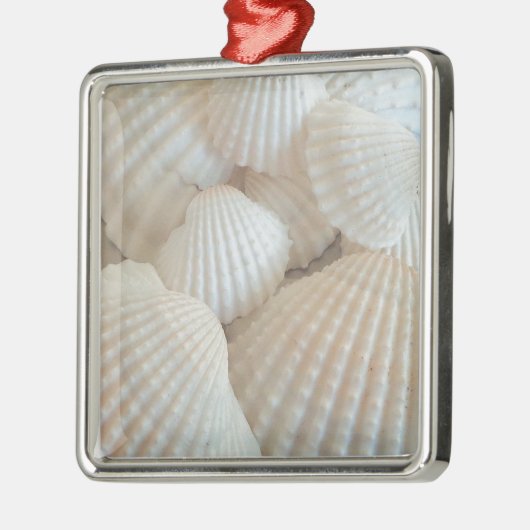 Sunny White Seashells, Summer Beach Exotic Metalen Ornament (Links)