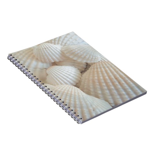 Sunny White Seashells, Summer Beach Exotic Notitieboek (Rechterzijde)