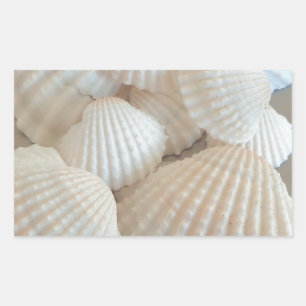 Sunny White Seashells, Summer Beach Exotic Rechthoekige Sticker