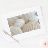 Sunny White Seashells, Summer Beach Exotic Rechthoekige Sticker (Envelop)