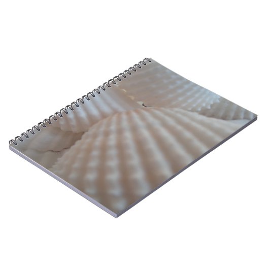 Sunny White Seashells, Zee Shell Beach Summer Love Notitieboek (Linkerzijde)
