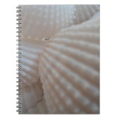 Sunny White Seashells, Zee Shell Beach Summer Love Notitieboek (Voorkant)
