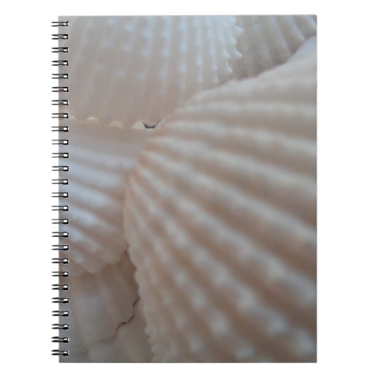 Sunny White Seashells, Zee Shell Beach Summer Love Notitieboek (Voorkant)