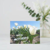 Sunny White Tulips Field Moederdag Briefkaart (Staand voorkant)