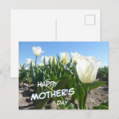 Sunny White Tulips Field Moederdag Briefkaart (Voorkant / Achterkant)