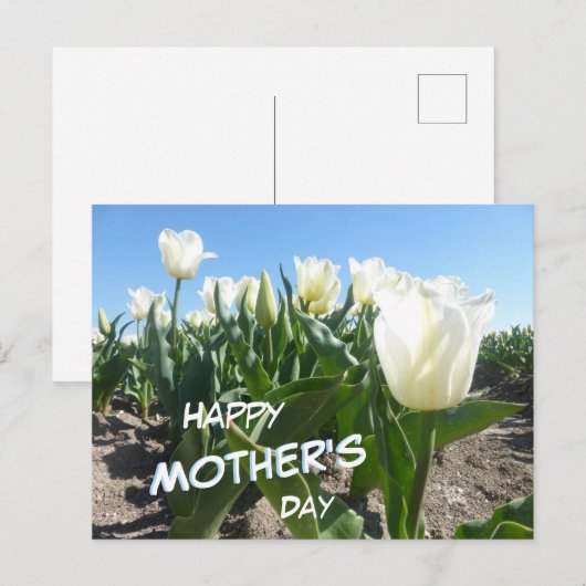 Sunny White Tulips Field Moederdag Briefkaart (Voorkant / Achterkant)
