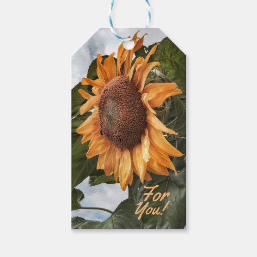 Sunny Wishes Voor U Cadeau Labels Cadeaulabel (Voorkant)
