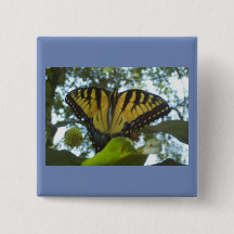 Sunny Yellow Monarch