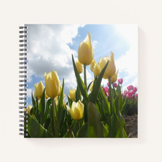 Sunny Yellow & Pink Tulpen met Blue Sky Notitieboe Notitieboek (Voorkant)