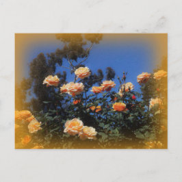 Sunny Yellow Rose Briefkaart