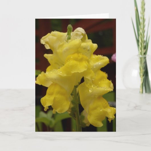 Sunny yellow snapdragon notecard kaart (Voorkant)