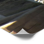 Sunny Zebra Poster (Hoek)