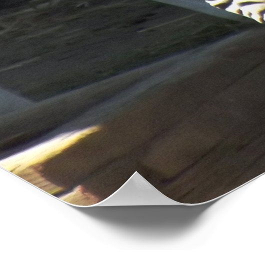 Sunny Zebra Poster (Hoek)