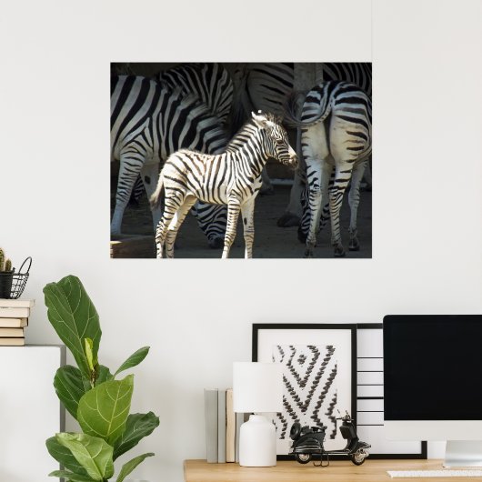 Sunny Zebra Poster (Thuiskantoor)
