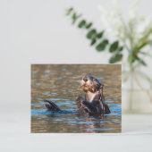Sunny Zee Otter Briefkaart (Staand voorkant)