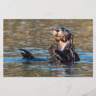 Sunny Zee Otter Briefpapier