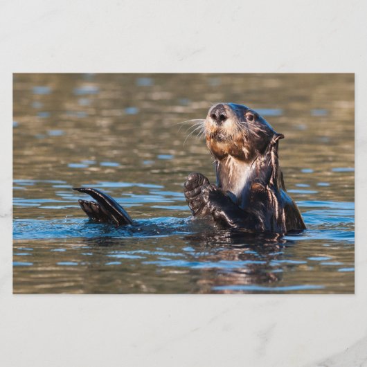 Sunny Zee Otter Briefpapier (Voorkant)