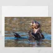 Sunny Zee Otter Briefpapier (Voorkant / Achterkant)