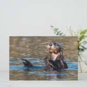 Sunny Zee Otter Briefpapier (Staand voorkant)
