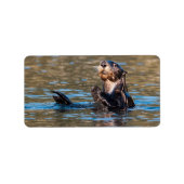 Sunny Zee Otter Etiket (Voorkant)