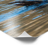 Sunny Zee Otter Foto Afdruk (Hoek)