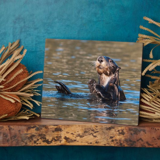 Sunny Zee Otter Fotoplaat (Zijkant)