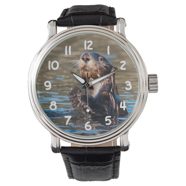 Sunny Zee Otter Horloge (Voorkant)