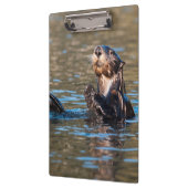 Sunny Zee Otter Klembord (Links)