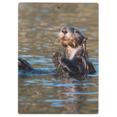 Sunny Zee Otter Klembord (Achterkant)