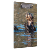 Sunny Zee Otter Klembord (Rechts)